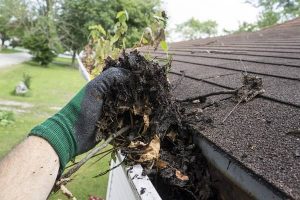 ‘Tis the Season for Gutter Cleaning