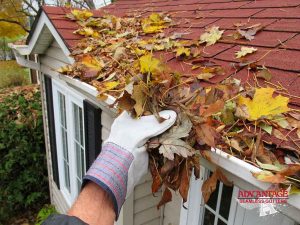 What to Know About Getting Your Gutters Cleaned