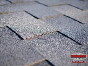 Asphalt Shingle Roofs The 6 Key Components