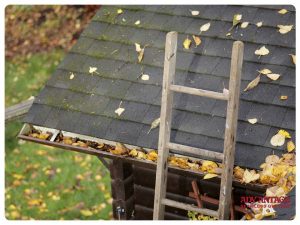 gutter cleaning