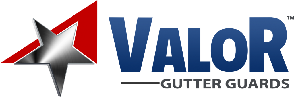 valor-logo-dark-rect