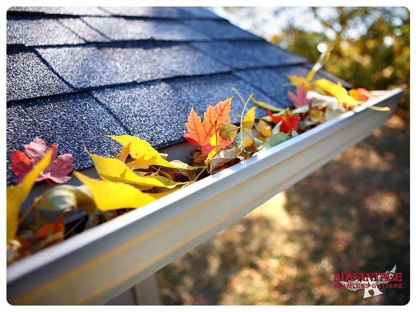 Fallen Leaves: Ways They Can Harm Your Roof