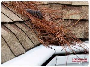 Removing Pine Needles From Your Gutters