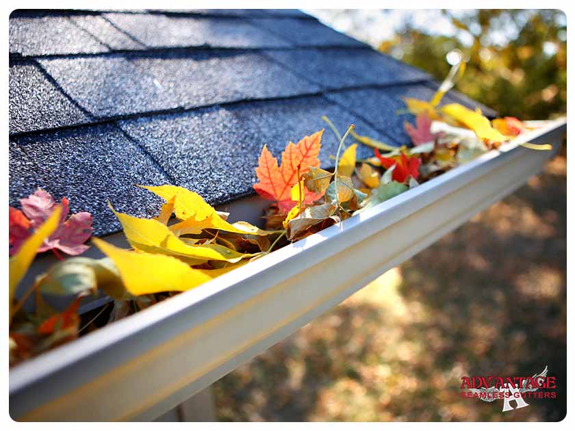 Should Gutters Be Cleaned Before or After the Leaves Fall
