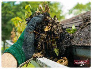 Are You Making These Common Gutter Maintenance Mistakes