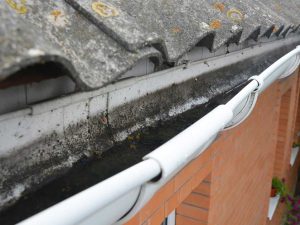Gutter Cleaning Brainerd, Mn