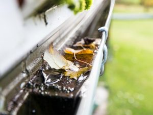 Gutter Cleaning Service Brainerd, Mn