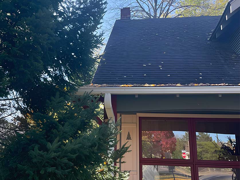 Roof Cleaning Services Brainerd, Mn