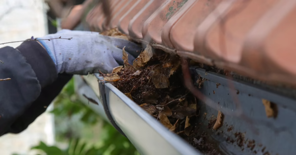 Why Spring Is the Best Time to Clean Your Gutters (Before Storm Season Hits)
