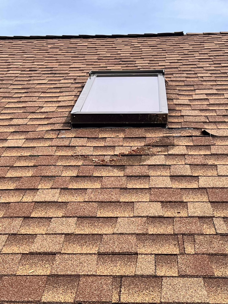Roof Damage