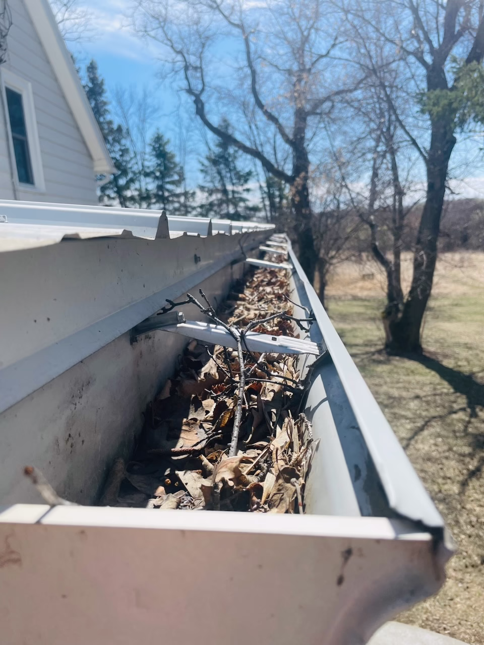 Clogged Gutters in Fall: What Can Happen If You Ignore Them?